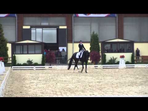Dressage. Championship of Russia on young horses. 1 place. 21.09.2013.
