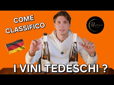COME si CLASSIFICANO i VINI TEDESCHI ? 🤔🥂🇩🇪
