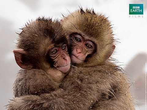 Vorschaubild für Unser Leben Trailer