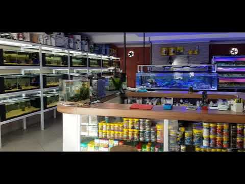 Conheça a loja : Mundo Aquático - São Paulo -SP