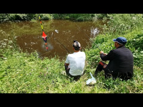 Pescuit Caras SĂLBATIC La PLUTĂ La 2 BĂLȚI DIN PĂDURE + 1 CRAP - Pescuit cu Mămăligă si Viermi