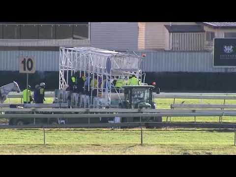 Sir Barnabus - Doomben Trial