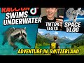 Raccoon Swims Underwater TikTok Tests Space Vlog In Switzerland