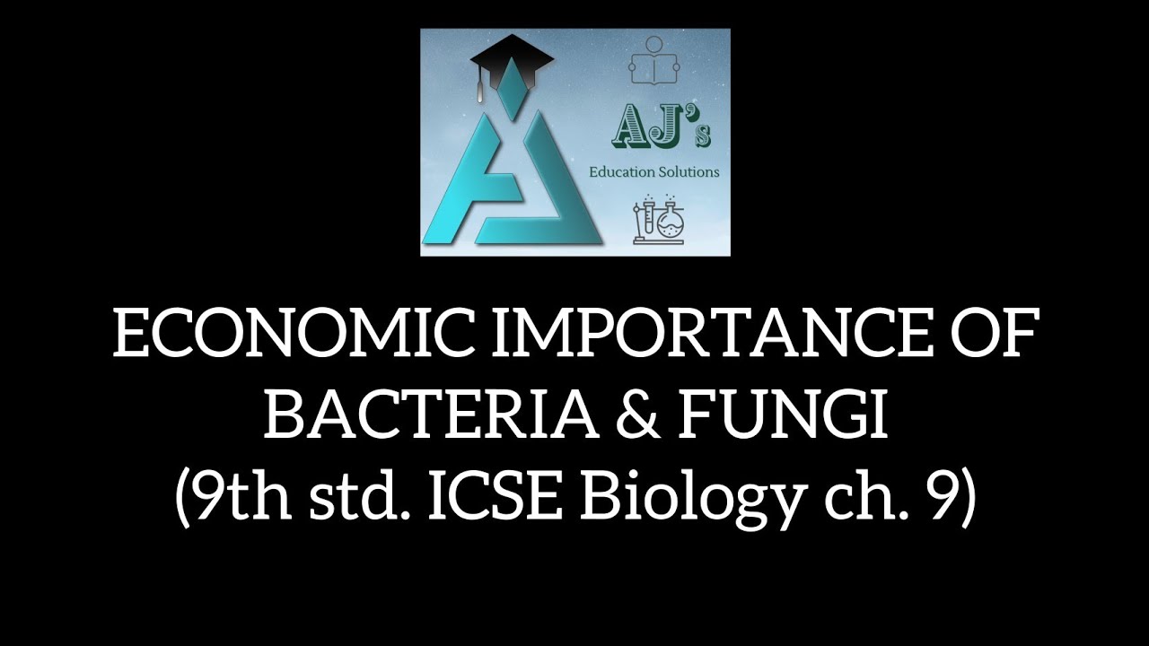 ECONOMIC IMPORTANCE OF BACTERIA & FUNGI (9th std. ICSE Biology ch. 9)