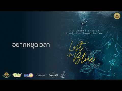 อยากหยุดเวลา - Lost in Blue (Concert by MED CMU Chorus)