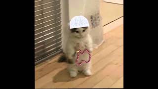 Download lagu Opick - Ya Maulana (speed up) mp3