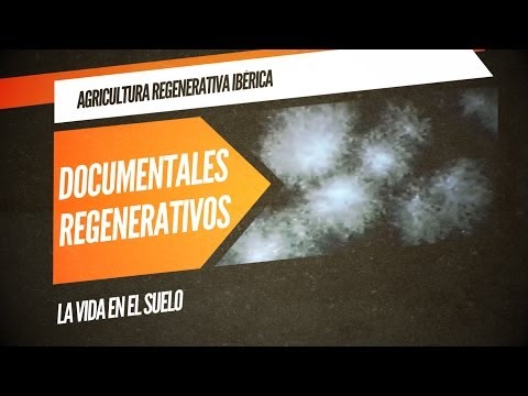 download lagu mp3 mp4 La Vida Es Sueo, download lagu La Vida Es Sueo gratis, unduh video klip La Vida Es Sueo