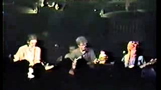 Feelies - The Undertow - 1987 [2 of 26]