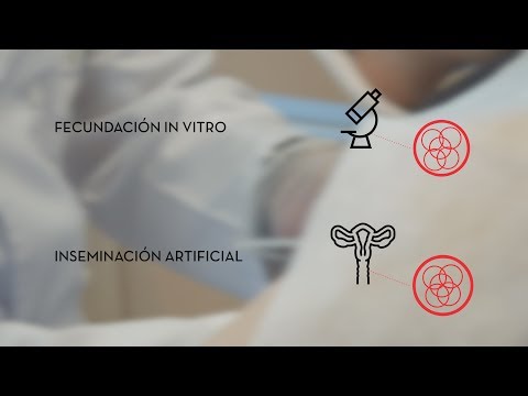Calcular fecha parto inseminacion