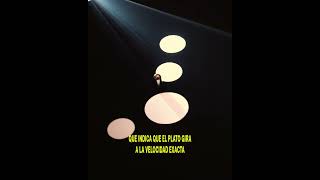 The history behind Cocoon s legendary logo shorts technomusic amnesiaibiza