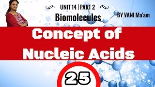 Concept of Nucleic Acids | Grade 12| Part-25|Biomolecules. |chemistry cbse |tricks |