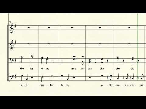 Don Basilio, Don Curzio: Gente, gente, all'armi, all'armi from Opera Le Nozze di Figaro - Mozart