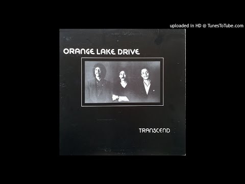 LYSERGICFUNK : Do what you do - Orange Lake drive