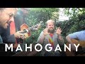 Les Savy Fav - Lips n Stuff // Mahogany Session ...