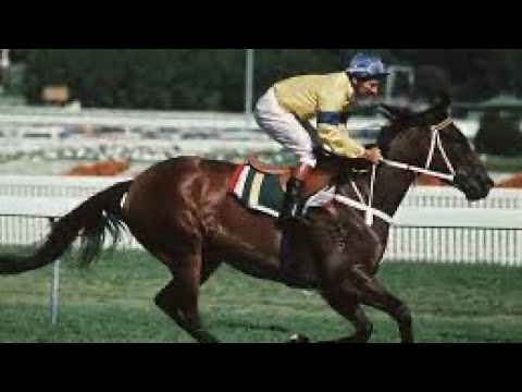 1991 John F. Feehan Stakes (Feehan Stakes) | MANNERISM | Cox Plate #WinandYoureIN