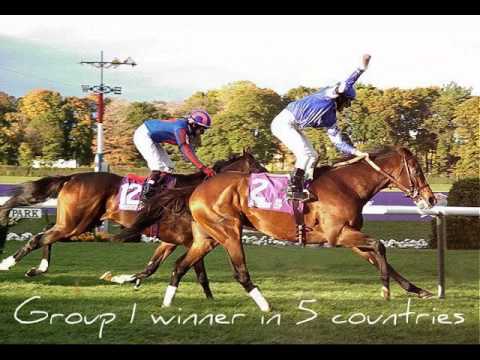 Top Ten British Racehorses