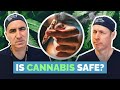 Cannabis Benefits Myths Risks