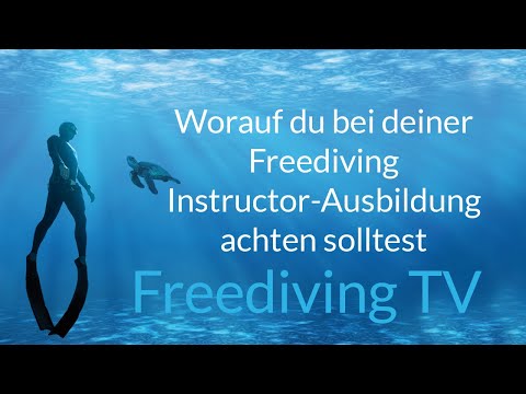 Worauf du bei deiner Freediving Instructor-Ausbildung achten solltest (Freediving TV #5)