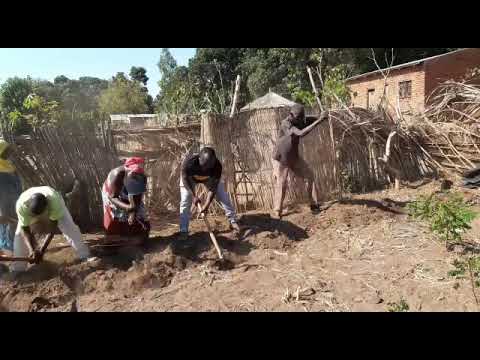 Sustainable farming by Lake Malawi