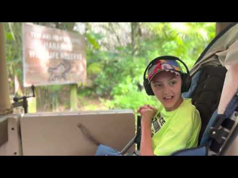 Kilimanjaro Safari | Our Favorite Accessible Ride @ Disney World  #disneyworld #animalkingdom #♿️