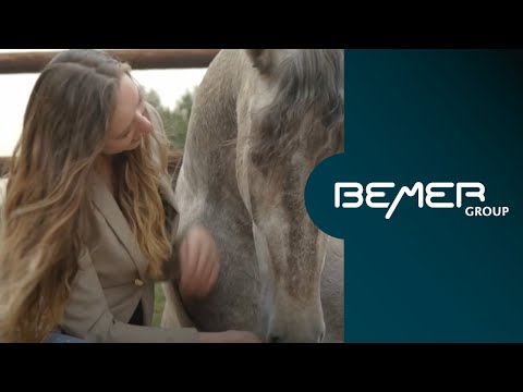 Ein richtig entspanntes Pferd – endlich! Das BEMER Horse-Set macht einfach locker | DE