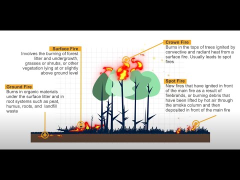 [MODULE 1] Fundamentals of Forest Fire Management