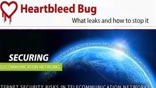 Massive online data breach discovered
