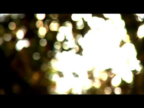 ALK Abelló Breakthrough