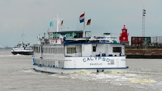 Calypso