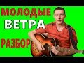 Как играть 7Б - МОЛОДЫЕ ВЕТРА (Урок - ПРАВИЛЬНЫЕ аккорды, БОЙ и т.д ...