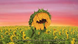 Tyler, The Creator - FUCKING YOUNG / PERFECT (Türkçe Çeviri)