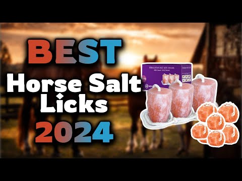 Top Best Horse Salt Licks in 2024 & Buying Guide - Must Watch Before Buying!