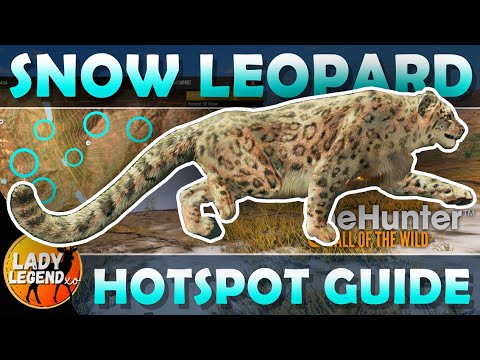 The Ultimate SNOW LEOPARD GUIDE for Sundarpatan!!! - Call of the Wild