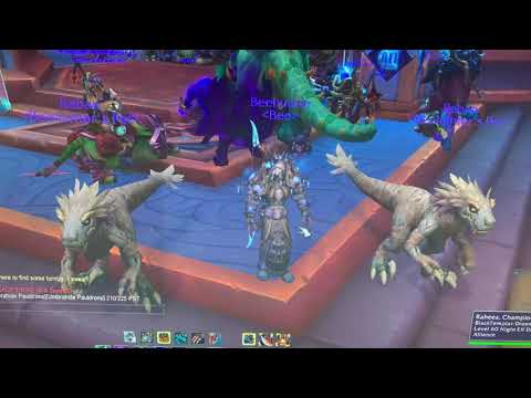 Beehunter of Bee Best Hunter Pet Reban in World First Dance