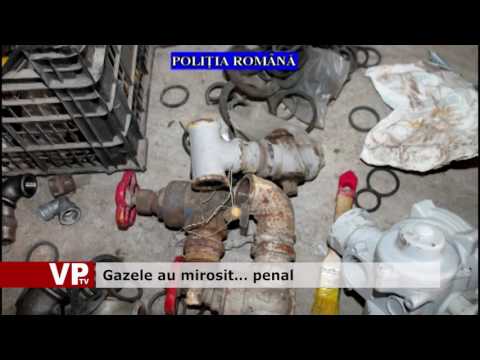 Gazele au mirosit… penal