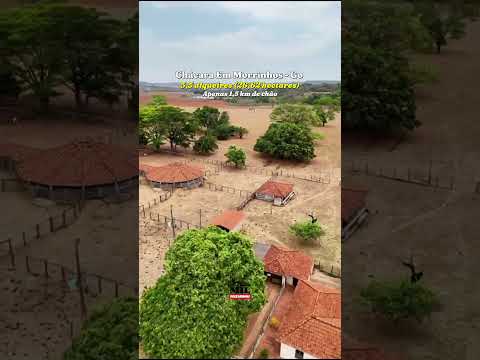 Chácara disponível em Morrinhos- Go #fazenda #pecuarista #agro #sitio