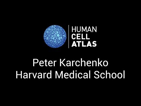 Peter Karchenko at the Human Cell Atlas Computational Methods meeting - Stockholm, 1-2 June 2017
