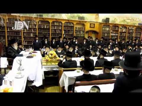 Tu B'Shvat 5774 In Vien