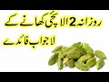 Rozana 2 Elaichi khane ke fayde | Benefits of Eating 2 Cardamom Daily