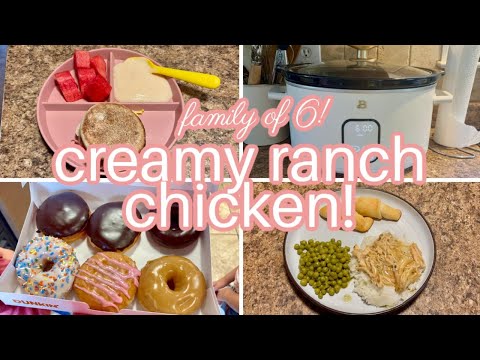 CREAMY RANCH CHICKEN & SCHOOL!