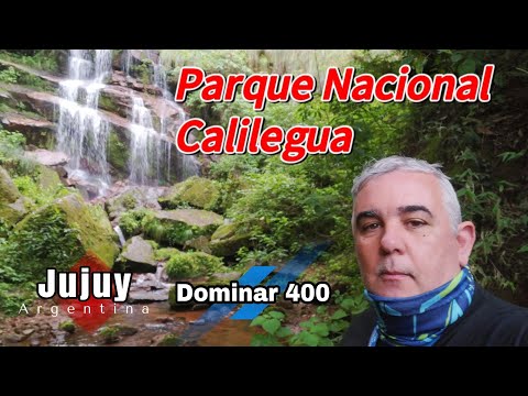 Parque Nacional Calilegua #dominar400  #caspala #jujuy #argentina