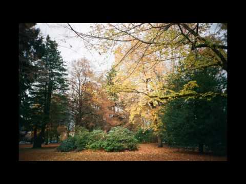 Top 10 Reasons why I want to live in Shaughnessy Vancouver part 1