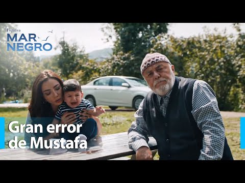 Sr. Osman está enojado por primera vez - Mar Negro Capítulo 183 | Fugitiva