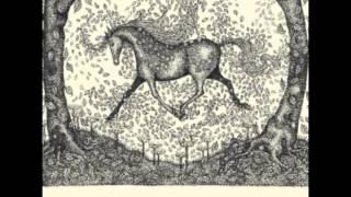 Paper Aeroplanes - Winter Never Comes (Album Version w/ Guitar Tab)