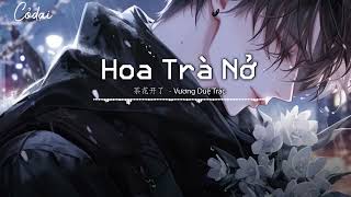 Download lagu [Vietsub   Pinyin] Hoa Trà Nở - Vương Duệ Trác / 茶花开了 - 王睿卓 mp3