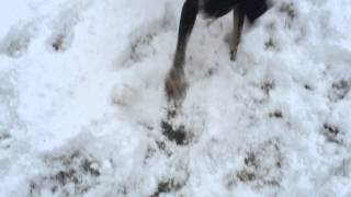 First snowfall of winter 2014