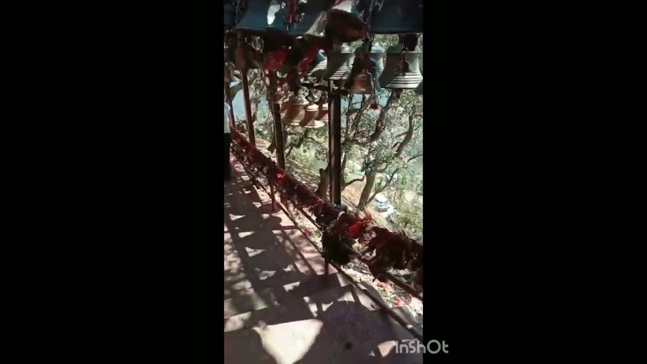 उत्तराखंड गोलू देवता का मंदिर: जहां मात्र अपनी अर्जियां लगाने से होती है सबकी मुरादें पूरी