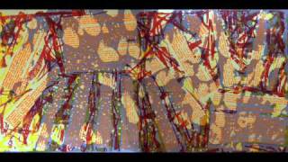 Kapotte Muziek & Asmus Tietchens - Module