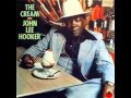 John Lee Hooker - I Believe I'll Go Back Home