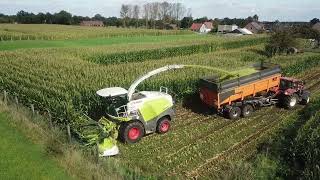 Loonbedrijf De Bollissen | Mais hakselen | CLAAS Jaguar 860 | New Claas Orbis 600